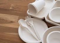 Bagasse plates