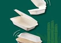 Bagasse boxes